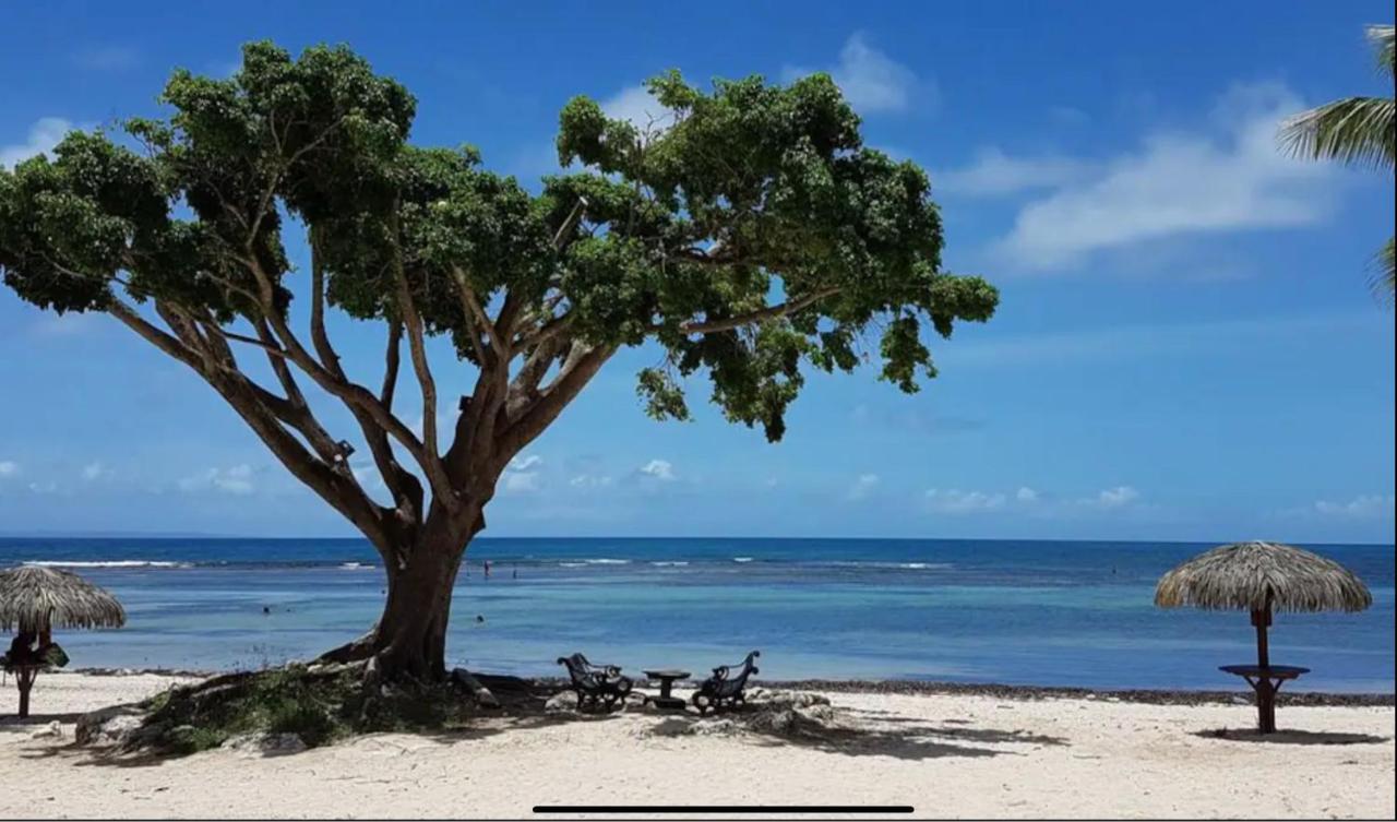 Le 35 Anse Des Rochers Saint-Francois Luaran gambar